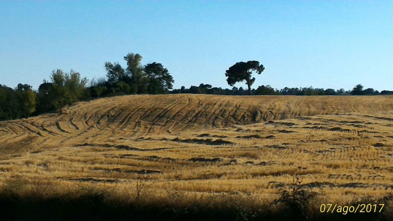 Affittacamere Da Laura Silvi Orvieto Luaran gambar
